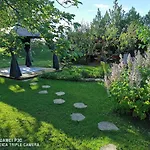 Csillaghegyi Oazis Domek letniskowy