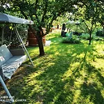 Csillaghegyi Oazis