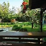 Domek letniskowy Csillaghegyi Oazis