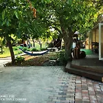 Csillaghegyi Oazis Domek letniskowy *
