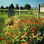 Csillaghegyi Oazis Domek letniskowy *
