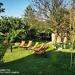 Csillaghegyi Oazis Domek letniskowy Siófok