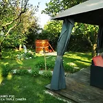 Csillaghegyi Oazis Domek letniskowy *