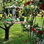 Csillaghegyi Oazis Chata