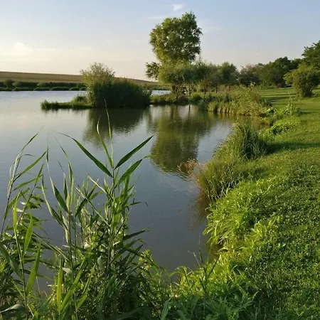 Csillaghegyi Oazis Domek letniskowy *