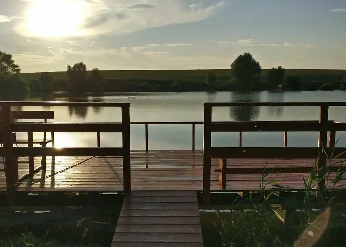 Csillaghegyi Oazis *